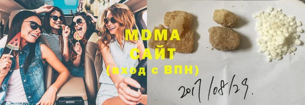 индика Вязьма