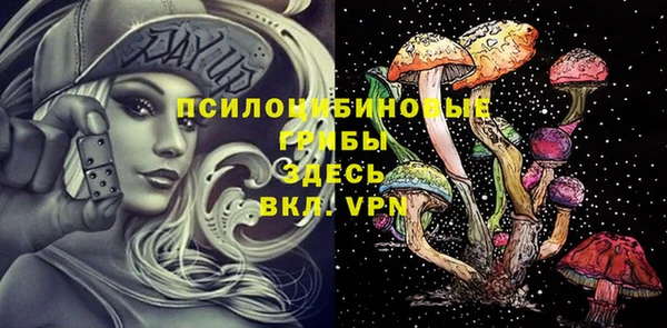 прущие грибы Осинники
