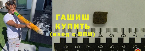 прущие грибы Осинники
