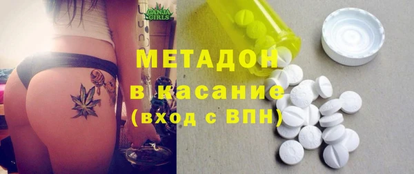 прущие грибы Осинники