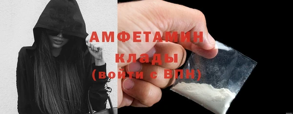 прущие грибы Болотное