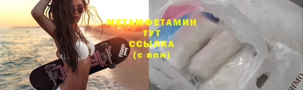 индика Вязьма