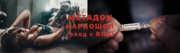 прущие грибы Осинники