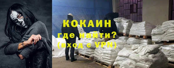 прущие грибы Осинники